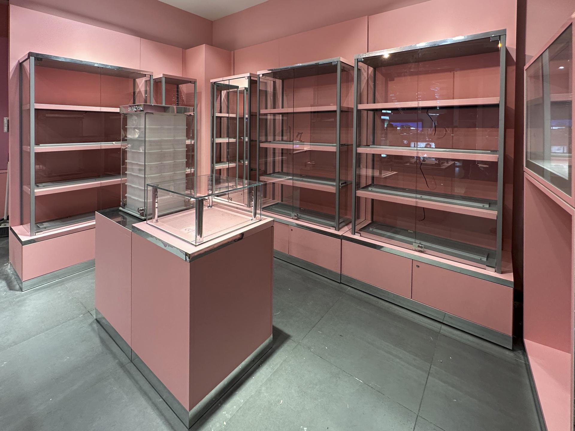 2022 SWAROVSKI 000060 copia